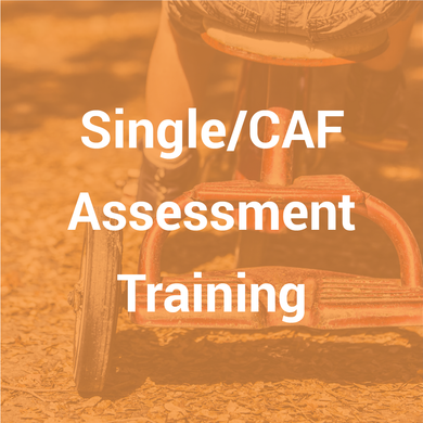 Single Assessment Training (3 day course)